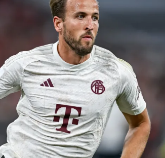 促进经济的 促进经济的